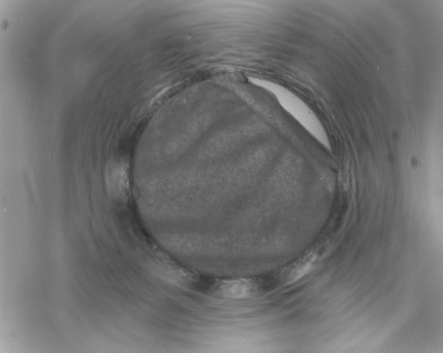 X0000069830127200606091455