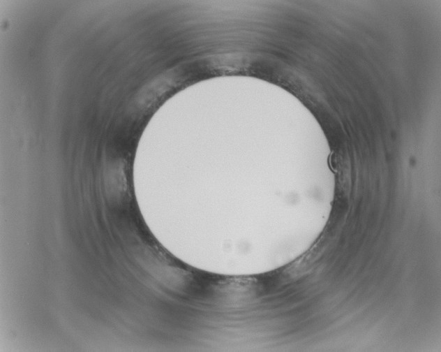 X0000069830128200606091455