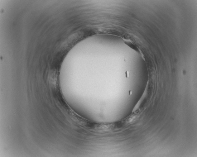 X0000069830129200606091455