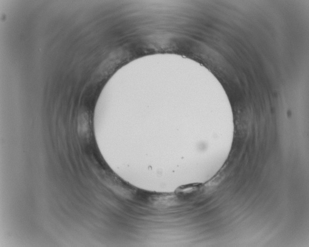 X0000069830132200606091455