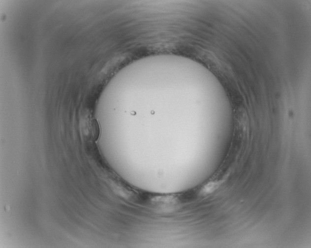 X0000069830133200606091455