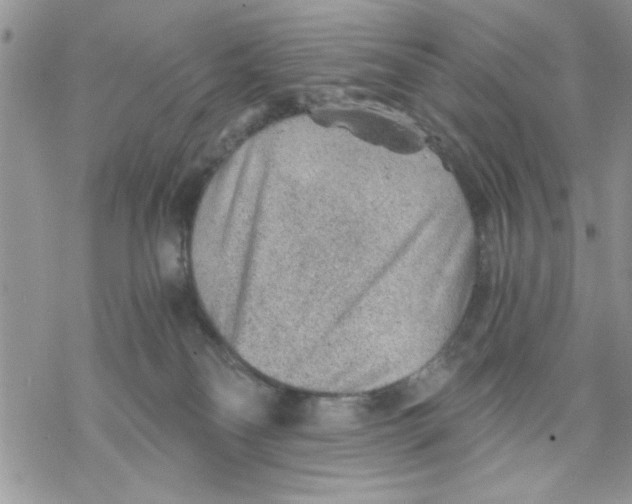 X0000069830134200606091455