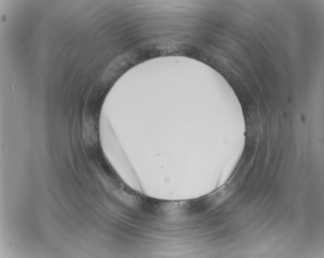 X0000069830136200606091455