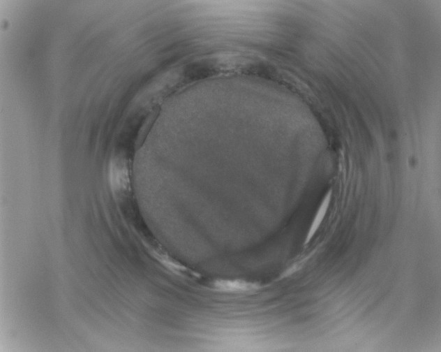 X0000069830137200606091455