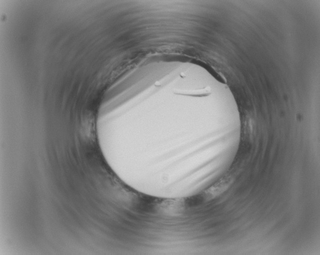 X0000069830138200606091455