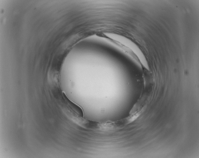 X0000069830141200606091455