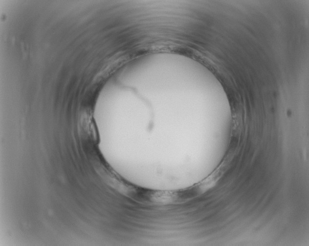 X0000069830142200606091455