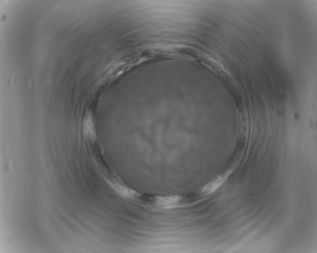 X0000069830143200606091455