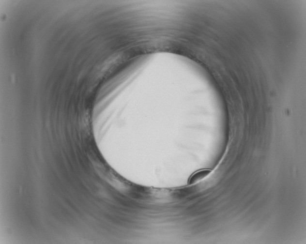 X0000069830144200606091455