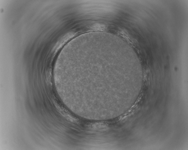 X0000069830146200606091454