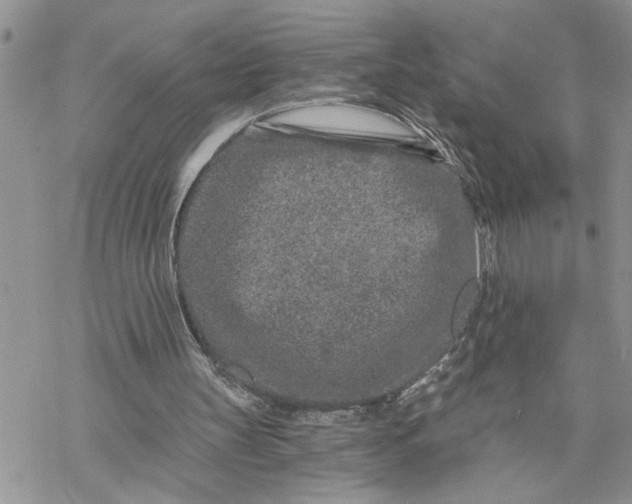 X0000069830147200606091454