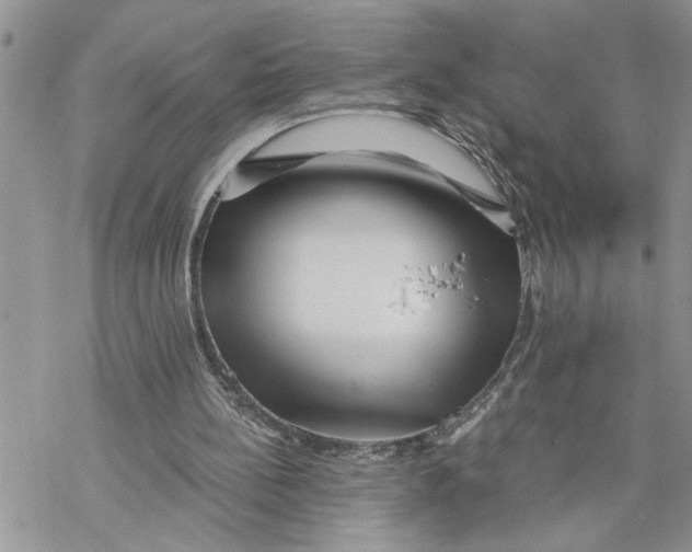 X0000069830148200606091454