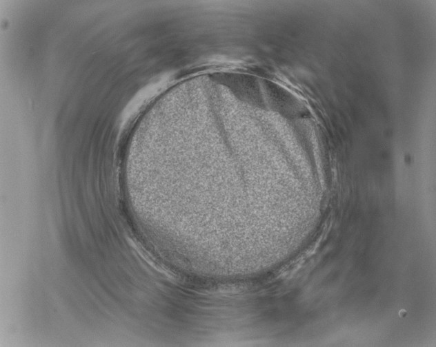 X0000069830149200606091454