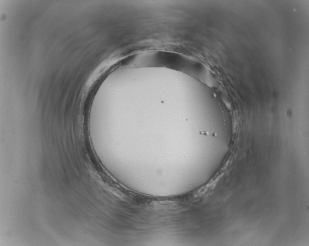 X0000069830150200606091454