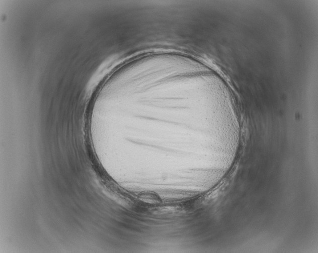 X0000069830151200606091454