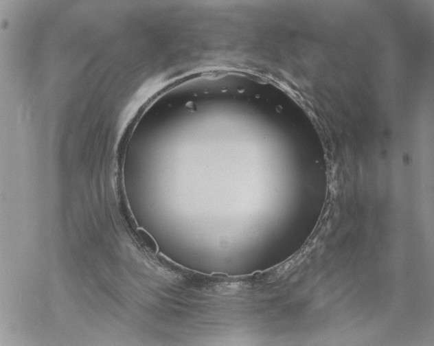 X0000069830152200606091454