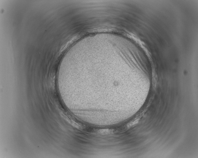 X0000069830153200606091454