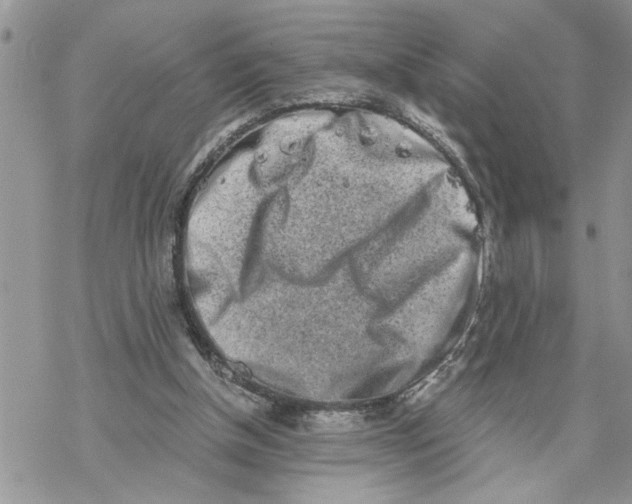 X0000069830154200606091454