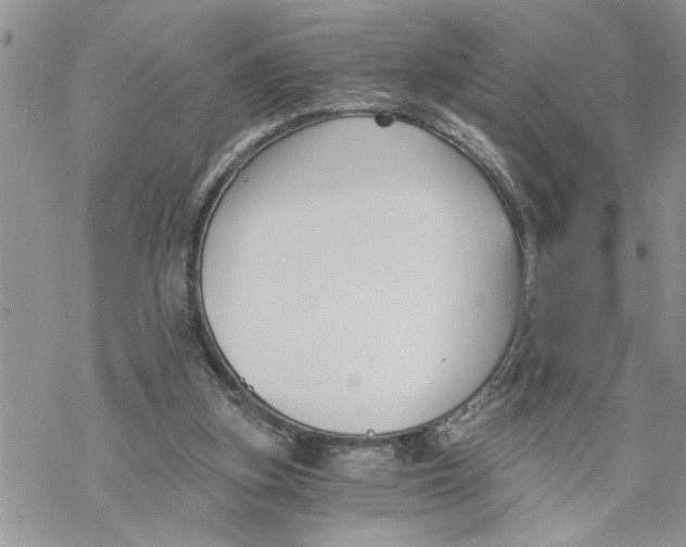 X0000069830155200606091454