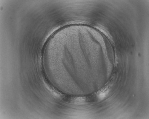 X0000069830156200606091454