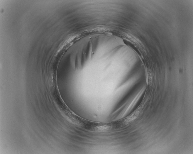 X0000069830158200606091454