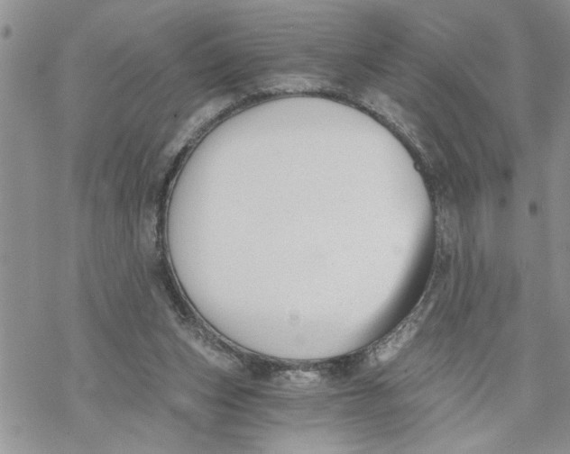 X0000069830159200606091454