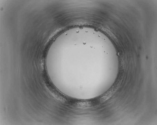 X0000069830160200606091454