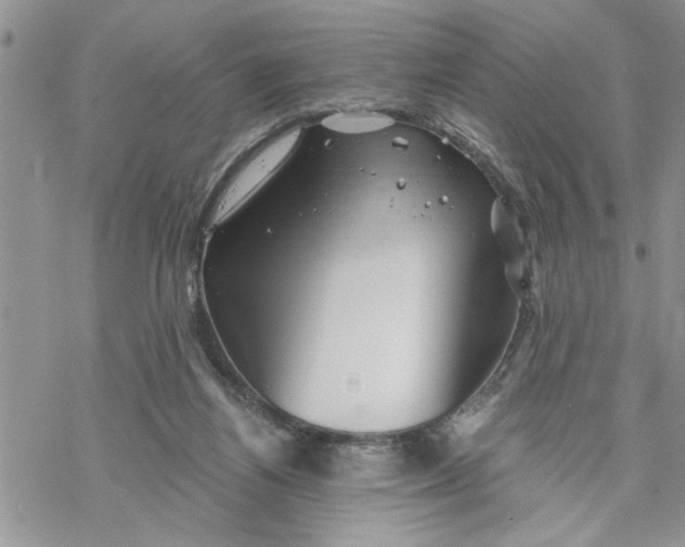 X0000069830164200606091454