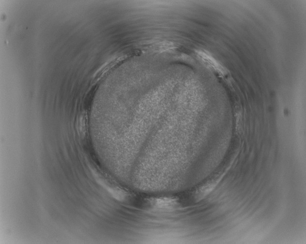 X0000069830165200606091454