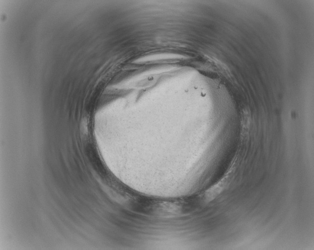 X0000069830166200606091454