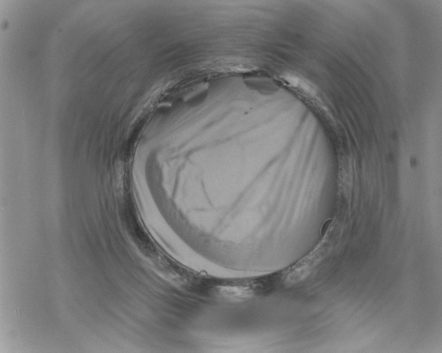 X0000069830167200606091454