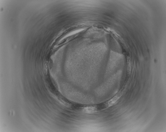 X0000069830168200606091454