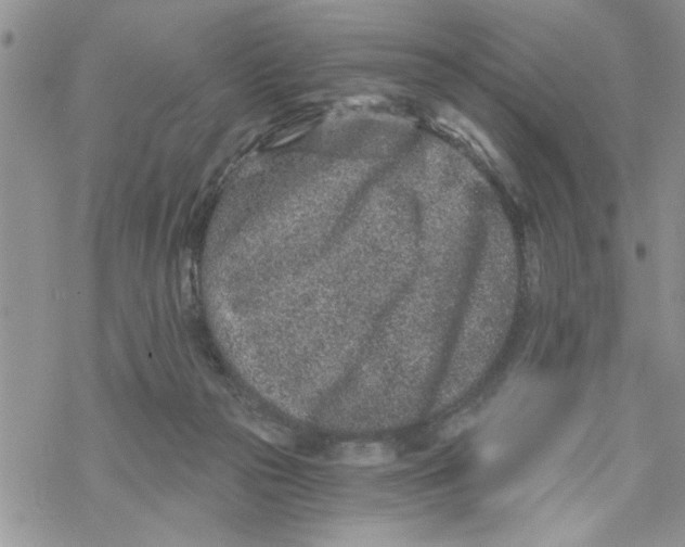 X0000069830169200606091455