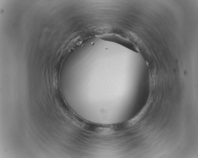 X0000069830170200606091455