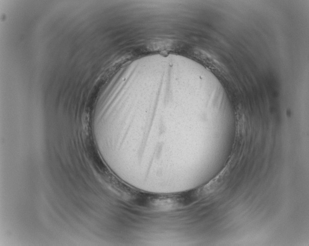 X0000069830171200606091455