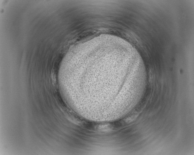 X0000069830173200606091455