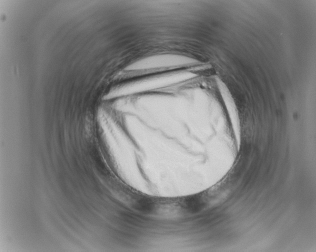 X0000069830175200606091455