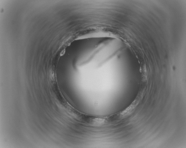 X0000069830176200606091455