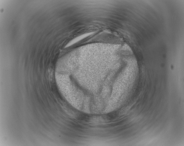 X0000069830177200606091455