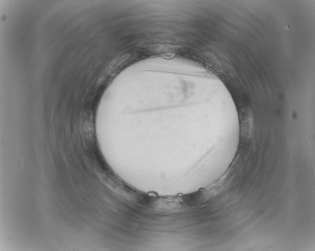 X0000069830179200606091455