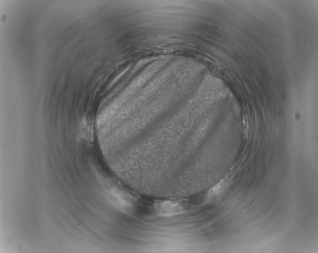 X0000069830180200606091455