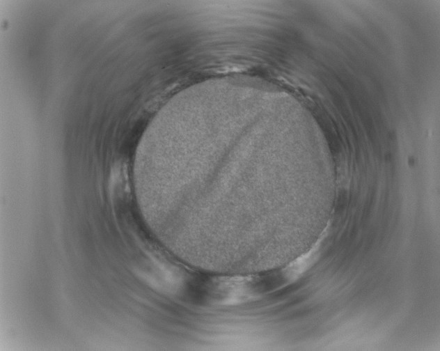 X0000069830182200606091455