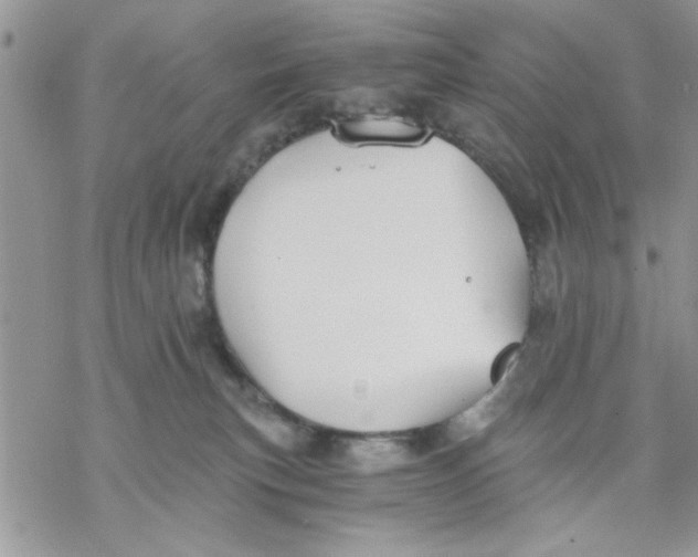 X0000069830183200606091455