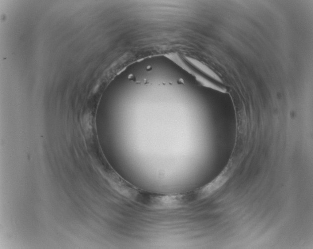 X0000069830184200606091455