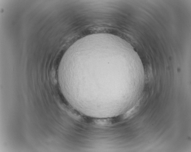 X0000069830187200606091455