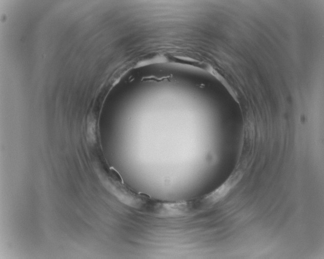 X0000069830188200606091455