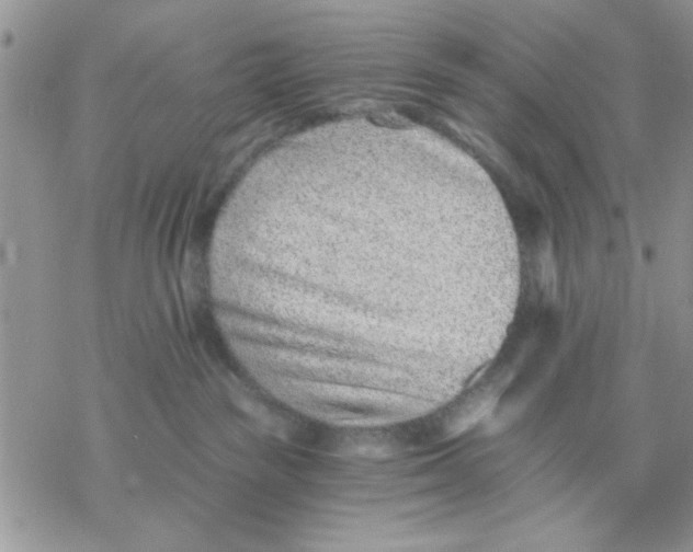 X0000069830189200606091455