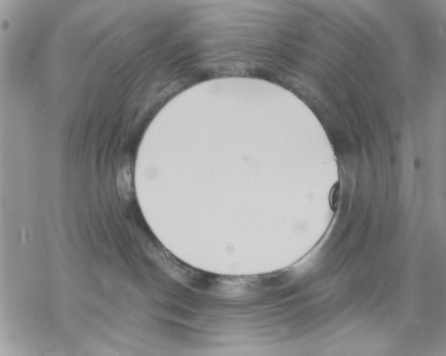 X0000069830190200606091455