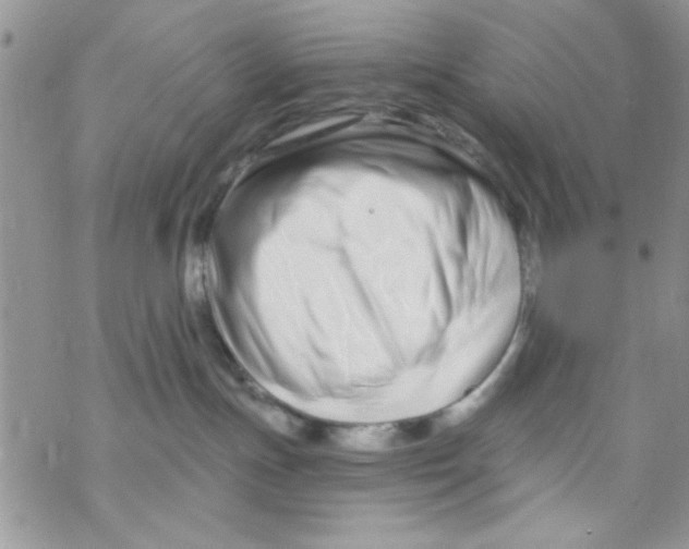 X0000069830191200606091455