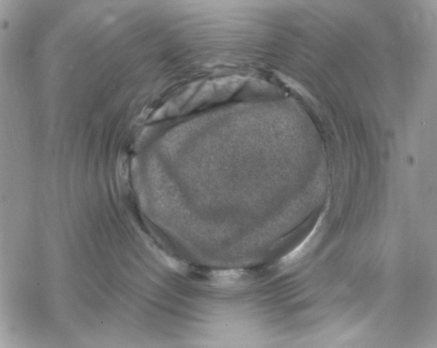 X0000069830192200606091455